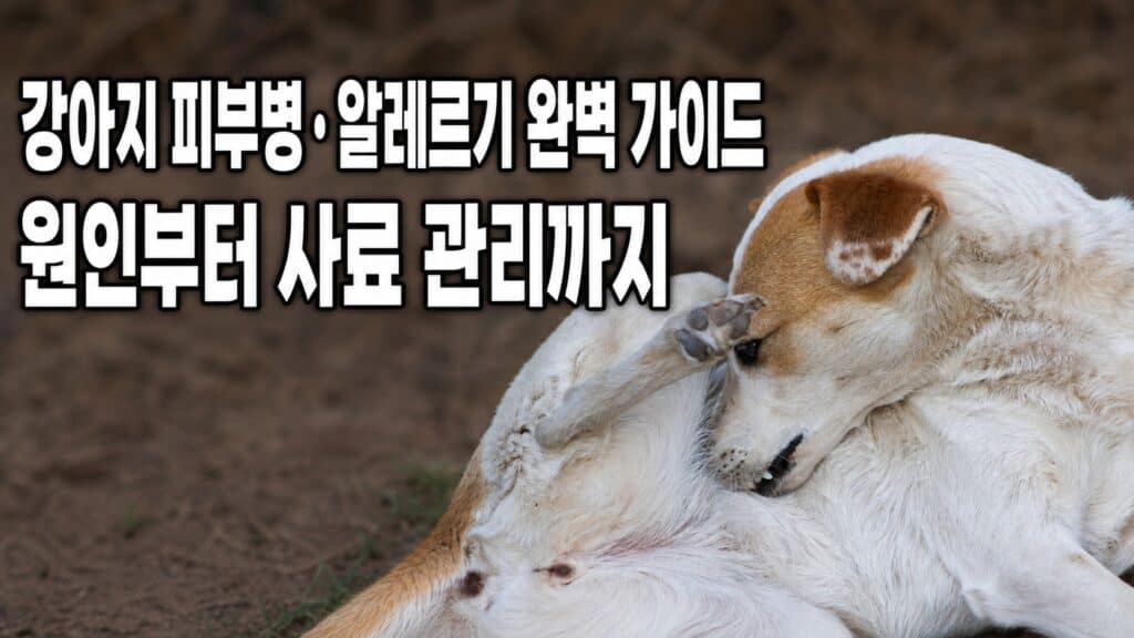 강아지가 몸을 긁는 모습, 피부병과 알레르기 증상