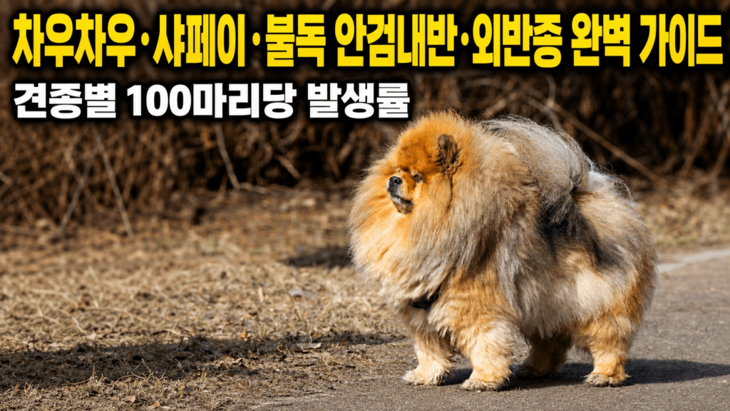 차우차우·샤페이·불독 안검내반·외반증 완벽 가이드 견종별 100마리당 발생률 썸네일