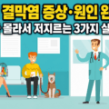 강아지 결막염 증상&middot;원인 완벽 정리와 보호자가 저지르는 3가지 실수 가이드