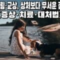 물가에 앉아 강아지와 함께 있는 사람 - 개물림·교상 감염 주의와 예방 안내