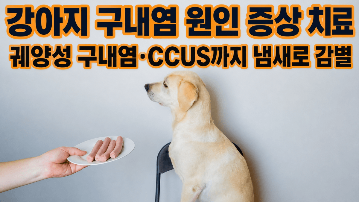 강아지 구내염 원인 증상 치료 | 궤양성 구내염&middot;CCUS까지 냄새로 감별
