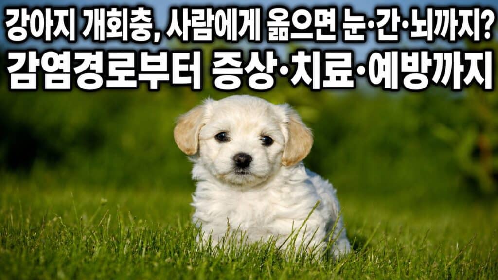 잔디밭에 앉아 있는 강아지 - 개회충 알은 흙에 섞여 있어 산책 중 감염될 수 있다