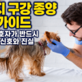 강아지 구강 종양 완벽 가이드 썸네일 - 소형견 보호자를 위한 24년 전문가의 신호 안내