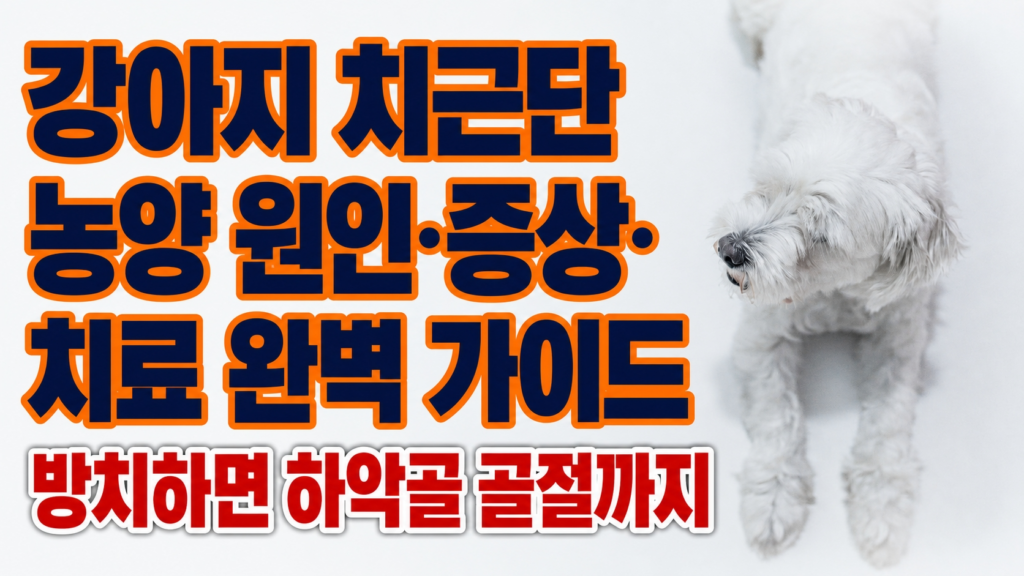 강아지 치근단 농양 원인·증상·치료 완벽 가이드 – 한쪽 눈이 없는 흰색 소형견 코코