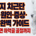 강아지 치근단 농양 원인&middot;증상&middot;치료 완벽 가이드 &ndash; 한쪽 눈이 없는 흰색 소형견 코코