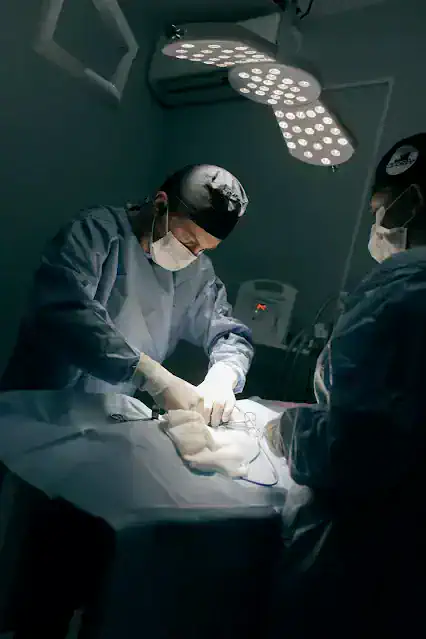 수의사가 수술실에서 반려동물 수술을 진행하는 모습 - 강아지 자궁축농증 수술 과정