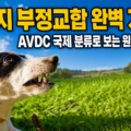 푸른 잔디밭에 앉아 있는 흰색&middot;갈색 강아지 옆에 "강아지 부정교합 완벽 가이드 &ndash; AVDC 국제 분류로 보는 원인&middot;유형&middot;치료" 문구가 표시된 블로그 대표 썸네일