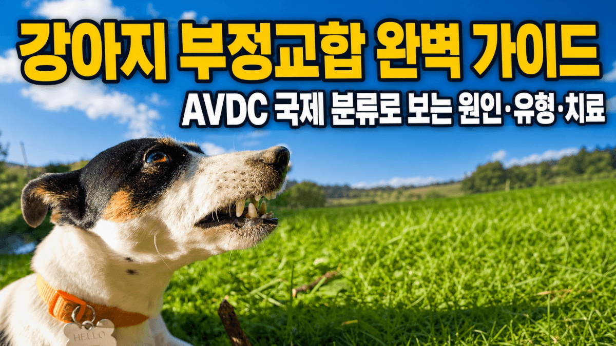 강아지 부정교합 완벽 가이드 &ndash; AVDC 국제 분류로 보는 원인&middot;유형&middot;치료