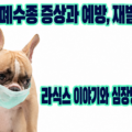 강아지 폐수종 증상과 예방, 재발 방지법을 안내하는 프렌치불독 썸네일