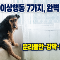 구석에 웅크리고 앉아 슬픈 눈으로 바라보는 강아지 - 분리불안, 우울증 등 강아지 이상행동 7가지