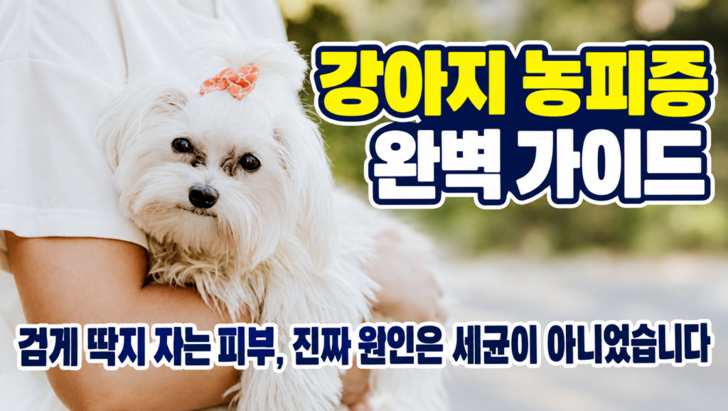 강아지 농피증 완벽 가이드 대표 이미지 - 도봉구 병원에서 만난 말티즈 사례