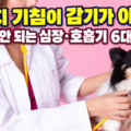 강아지 기침이 감기가 아닐 때 놓치면 안 되는 심장 호흡기 6대 질환 완벽 가이드 썸네일