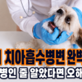 강아지 치아흡수병변을 진단하기 위해 수의사가 강아지 입안을 검진하는 모습