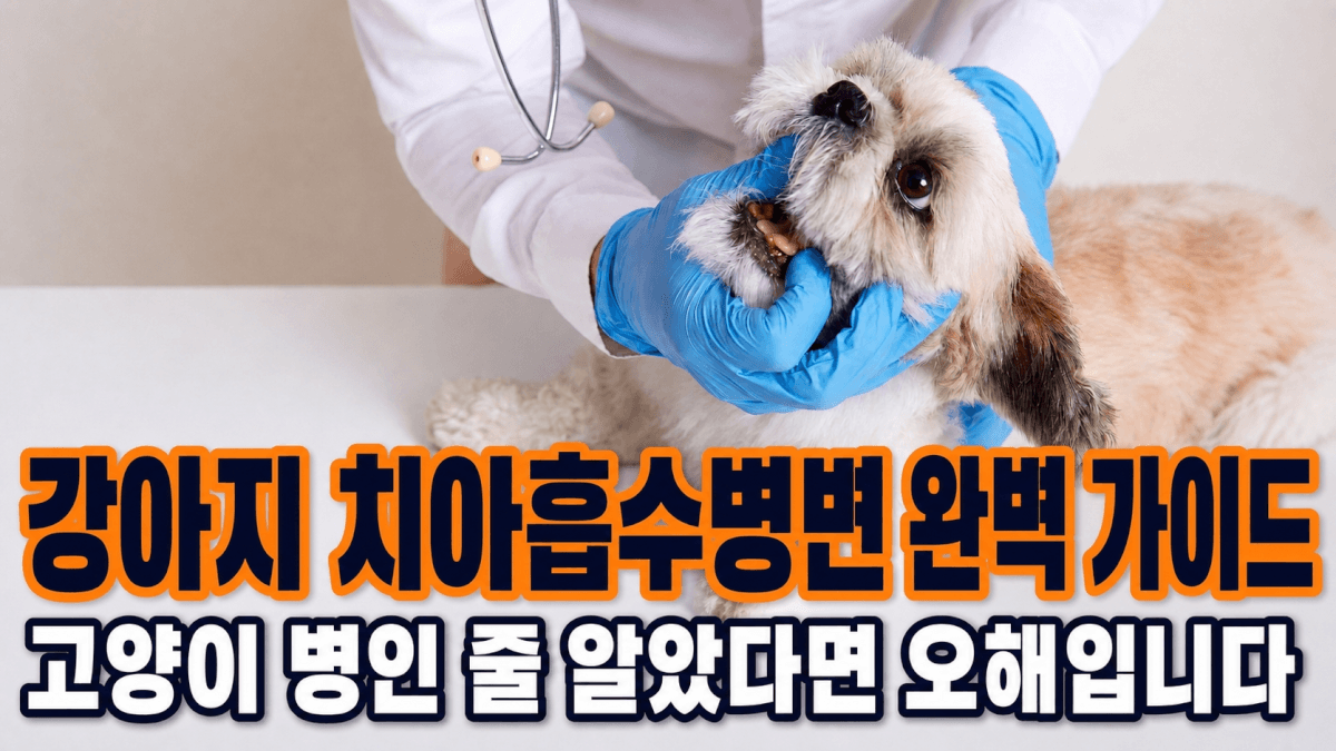강아지 치아흡수병변 완벽 가이드 &mdash; 고양이 병인 줄 알았다면 오해입니다