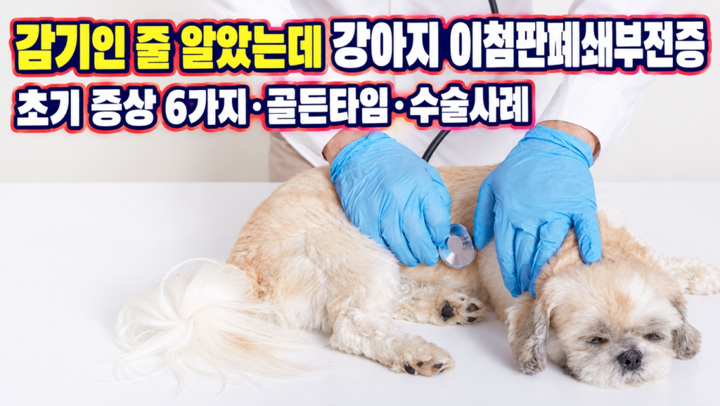 동물병원에서 청진기로 소형견의 심장을 진찰하는 수의사와 걱정스러운 표정의 보호자 - 강아지 이첨판폐쇄부전증 초기 신호 안내 썸네일