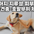 강아지 지루성 피부염으로 몸을 긁는 반려견