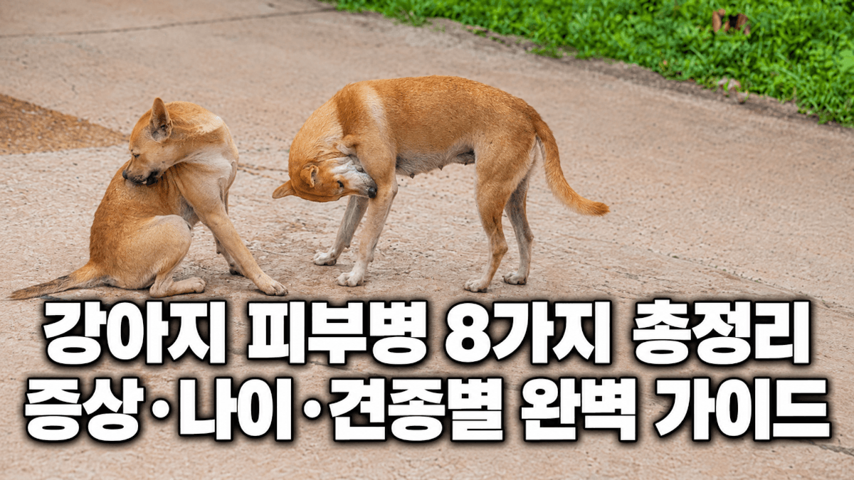 강아지 피부병 8가지 총정리 | 증상·나이·견종별 완벽 가이드