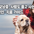 피부병으로 힘들어하는 강아지를 안고 걱정하는 보호자