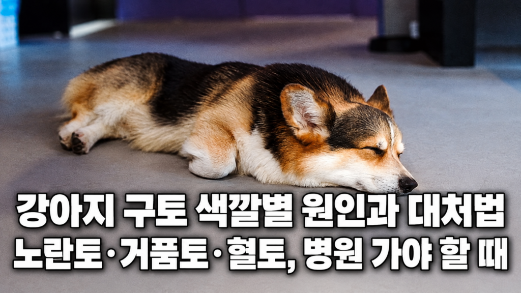 강아지 구토 색깔별 원인과 대처법 노란토 거품토 혈토 병원 가야 할 때 안내 썸네일