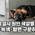 설사로 힘없이 누워있는 강아지 색깔별 체크 가이드