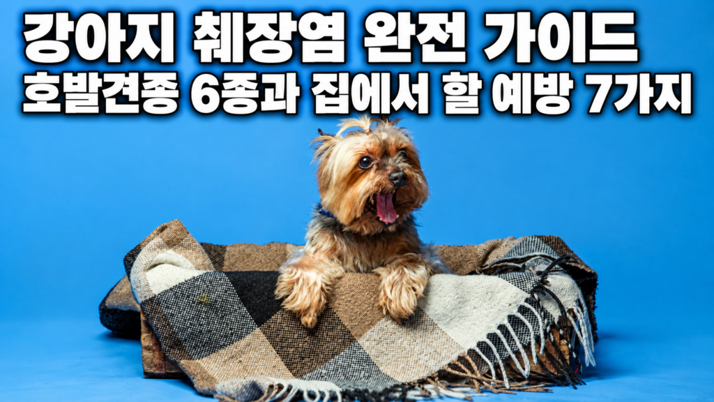 강아지 췌장염 호발견종 6종과 집에서 할 예방 7가지