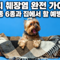 강아지 췌장염 호발견종 6종과 집에서 할 예방 7가지