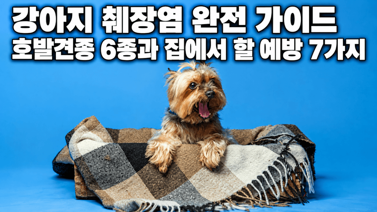 강아지 췌장염 완전 가이드 — 슈나우저·요크셔테리어 포함 호발 6종 및 예방 7가지