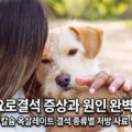 강아지 요로결석 증상과 원인 완벽 가이드 - 처방 사료·수술·예방법 총정리